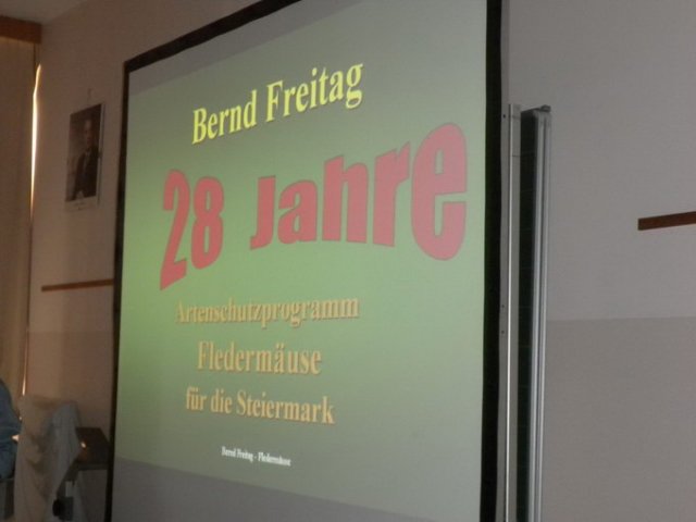 Fledermaus Nistkasten