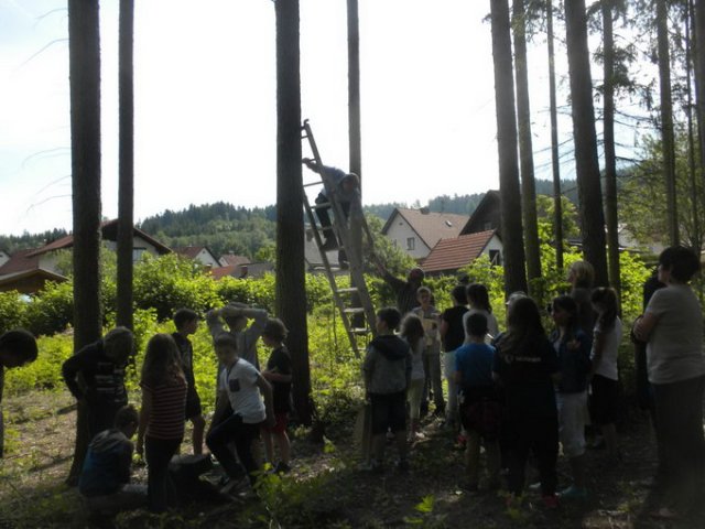 Fledermaus Nistkasten
