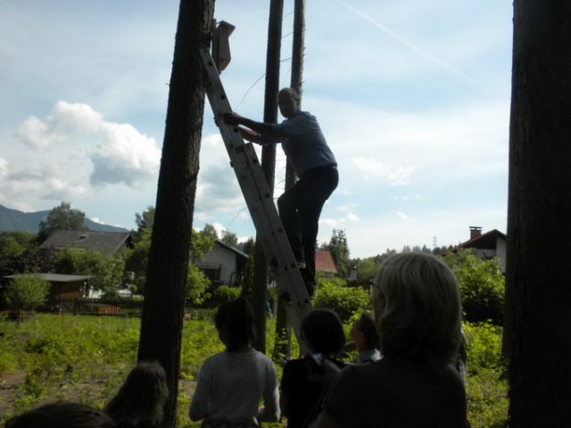 Fledermaus Nistkasten