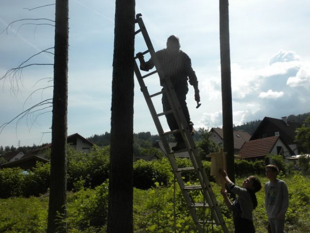 Fledermaus Nistkasten