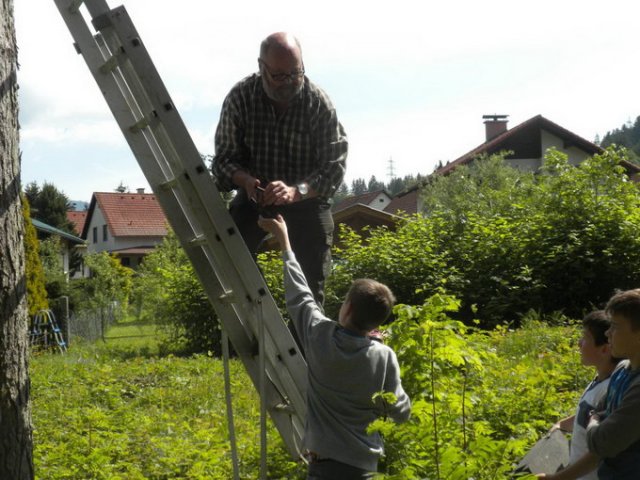 Fledermaus Nistkasten
