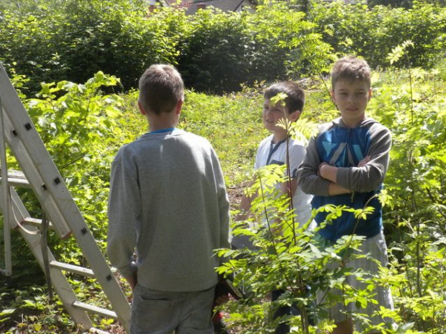 Fledermaus Nistkasten