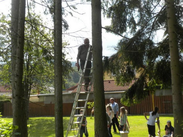 Fledermaus Nistkasten