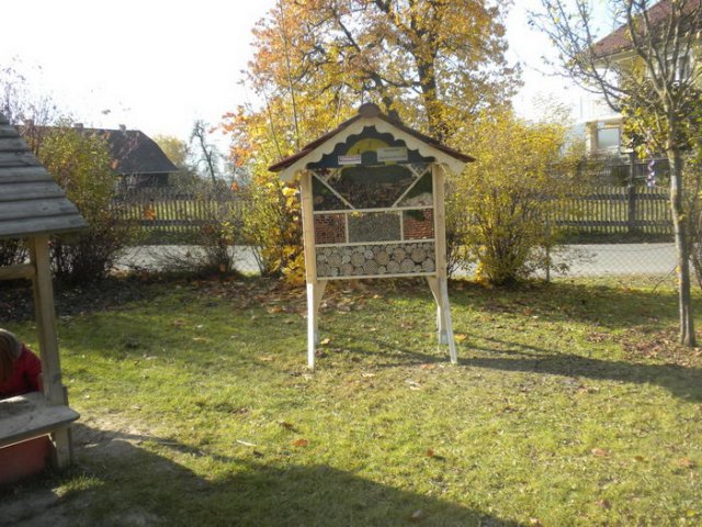 DSCN2637