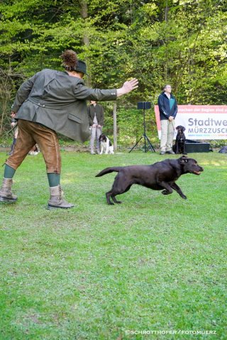 20160430-DSC05547