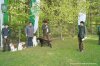 20160430-DSC05442