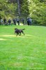 20160430-DSC05548