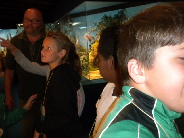 20170720 - Nistkästen