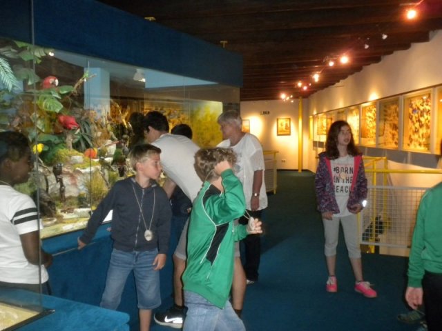 20170720 - Nistkästen