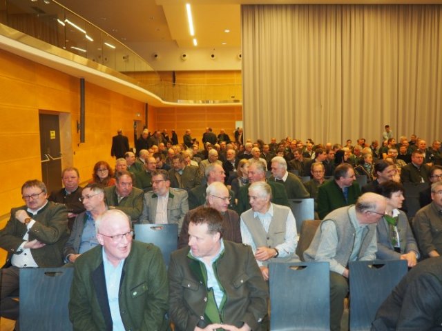 Heulen im Walde