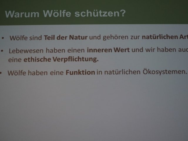 Heulen im Walde