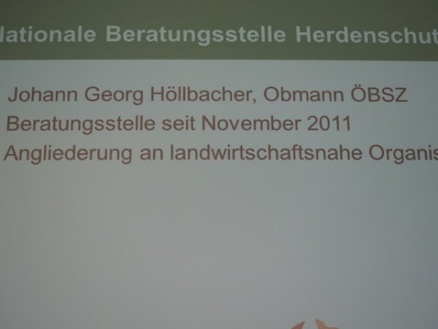 Heulen im Walde