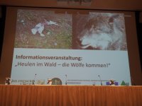 Heulen im Walde
