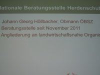 Heulen im Walde