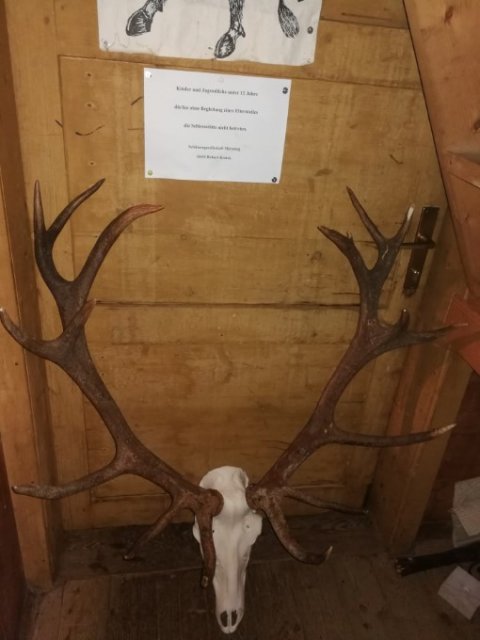 20181203 - Wildgemeinschaft Hohe Veitsch Weihnachten 2018