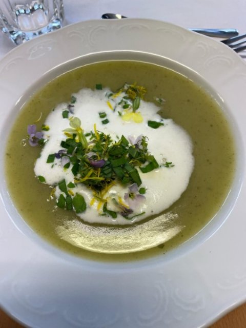 Wildkräuterkochkurs