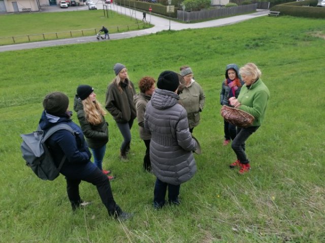 Wildkräuterkochkurs