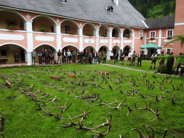 Abwurfstangenschau 2025