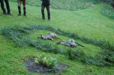 Aufbrechen und jagdliches Brauchtum am 1. Mai 2025