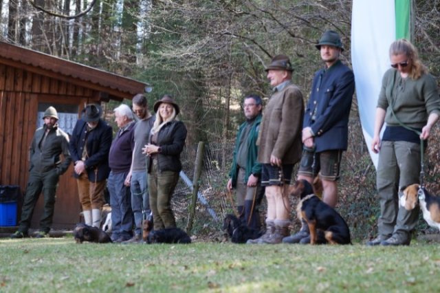 Jagdhundepräsentation 2025