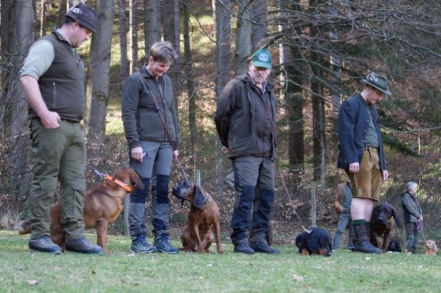 Jagdhundepräsentation 2025