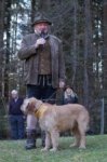 Jagdhundepräsentation 2025