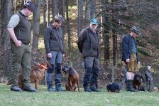 Jagdhundepräsentation 2025