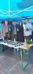 Grillfestival Bruck an der Mur