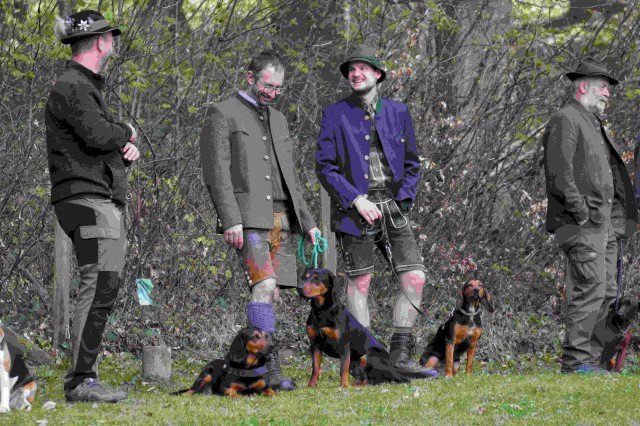 Hundepräsentation 2026