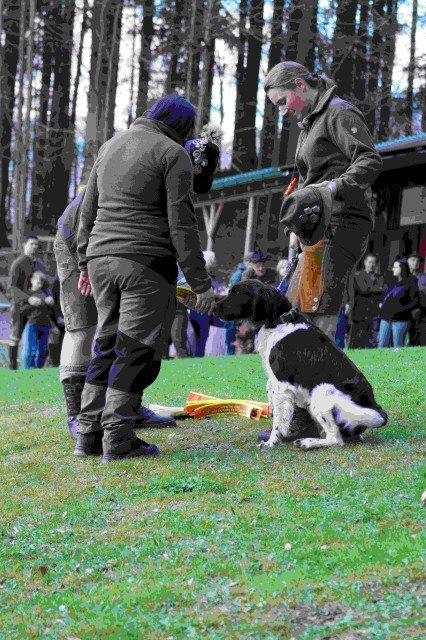 Hundepräsentation 2026