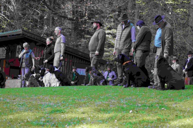 Hundepräsentation 2026