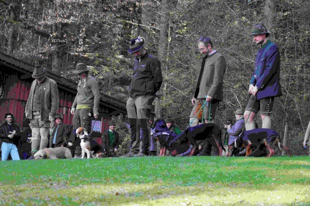 Hundepräsentation 2026