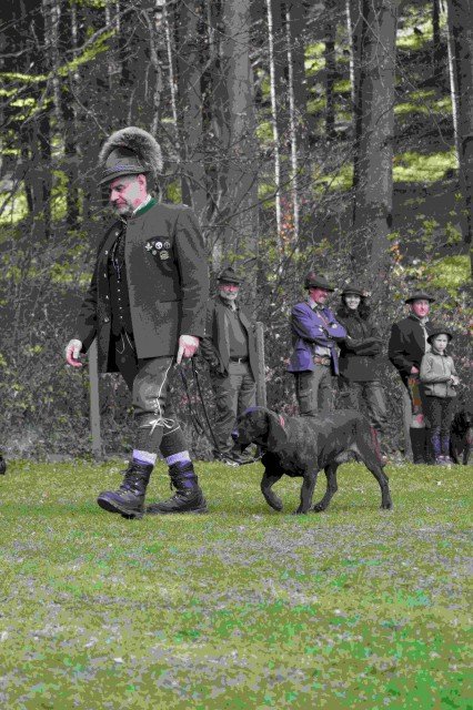 Hundepräsentation 2026