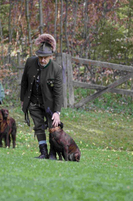 Hundepräsentation 2026