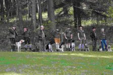 Hundepräsentation 2026