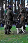 Hundepräsentation 2026
