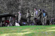 Hundepräsentation 2026