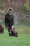 Hundepräsentation 2026